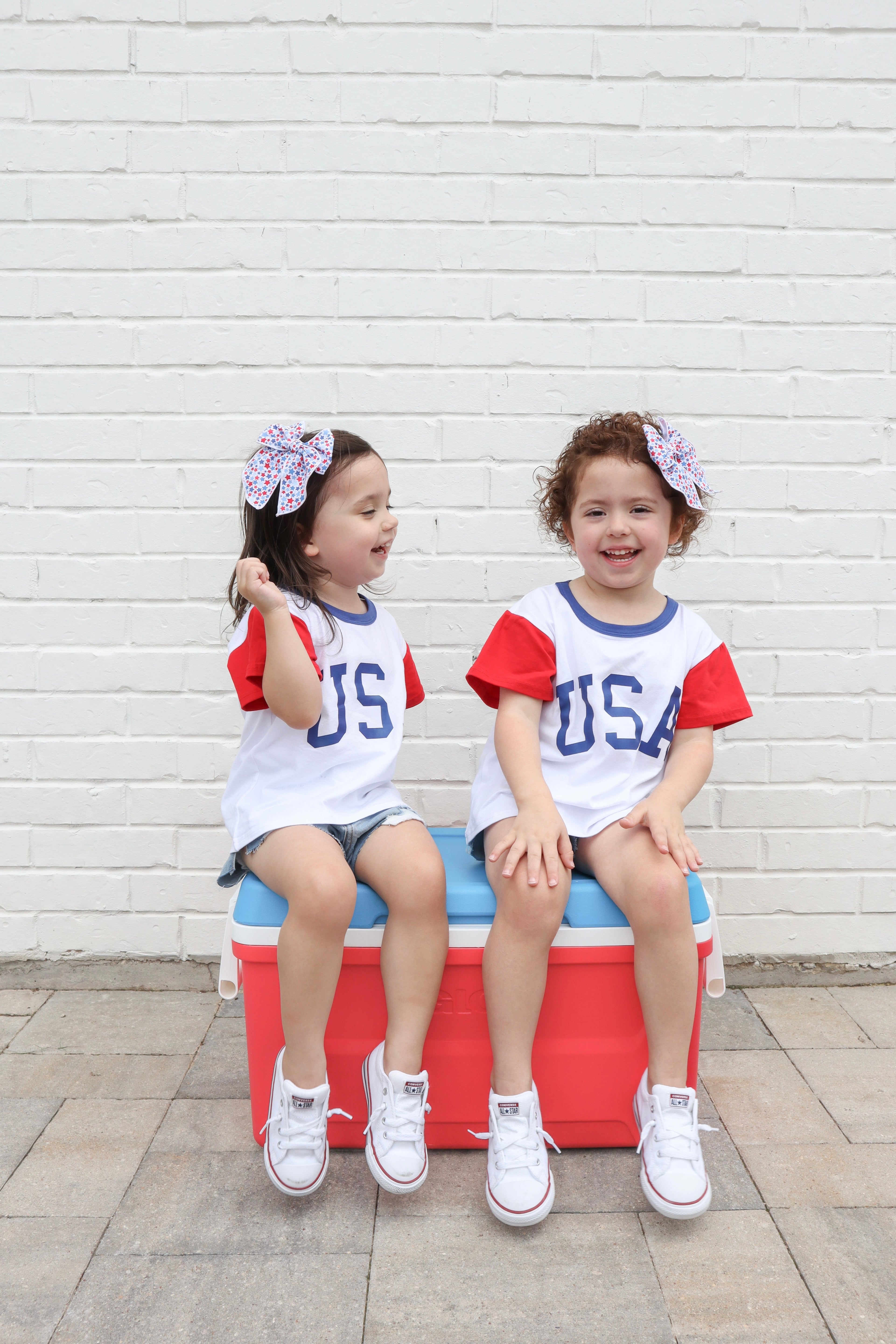 AK-USA Tee