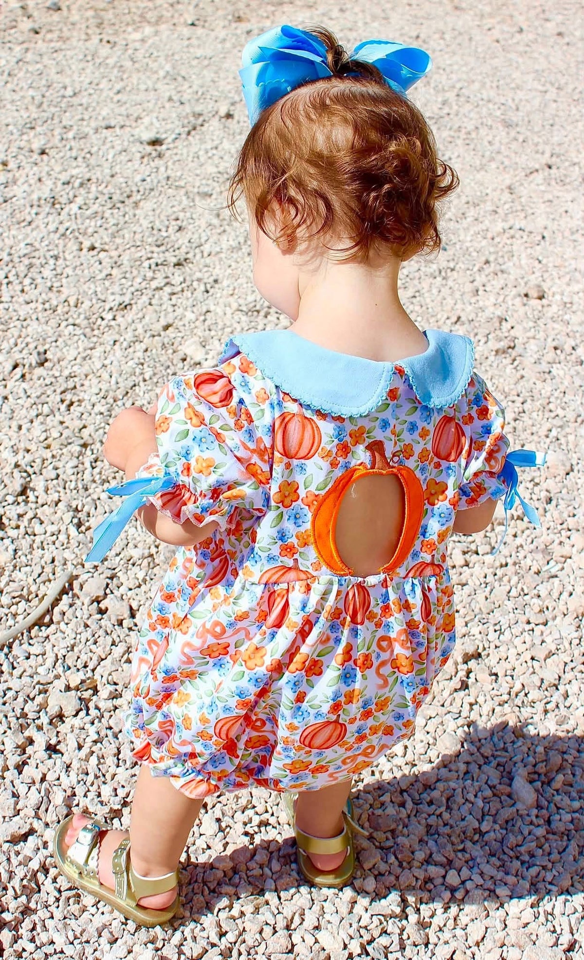 Heirloom Harvest Ruffle Bubble with Appliqué Back