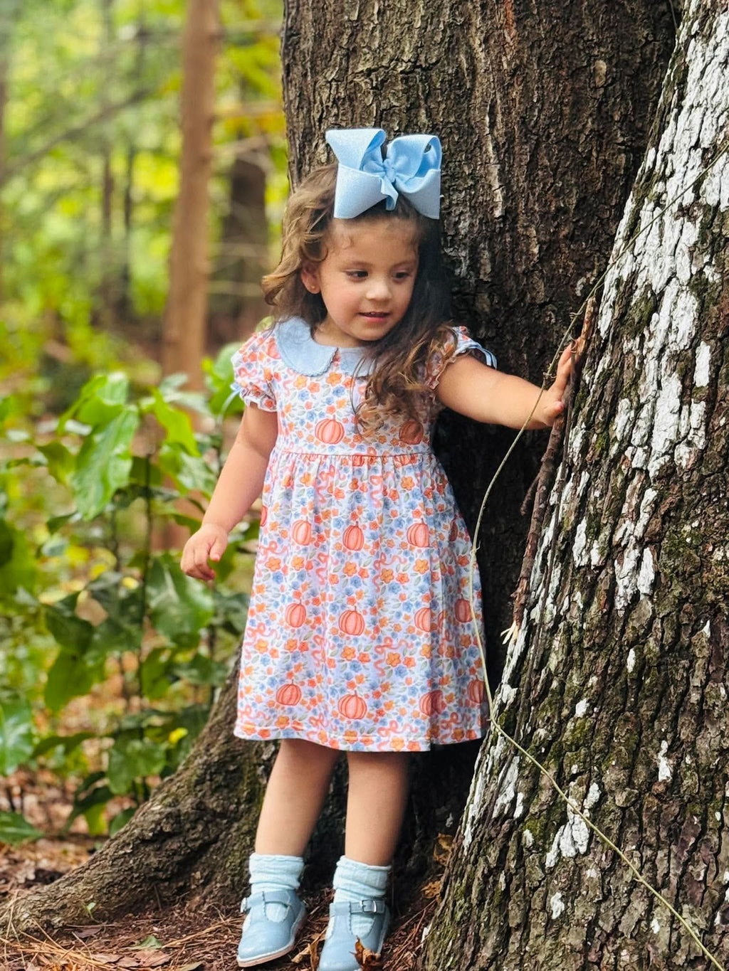 Heirloom Harvest Dress with Appliqué Back