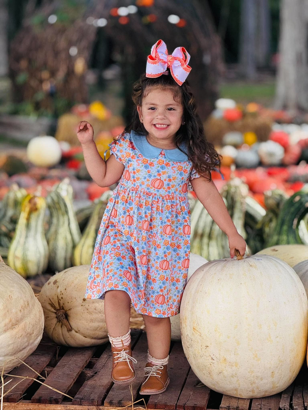 Heirloom Harvest Dress with Appliqué Back