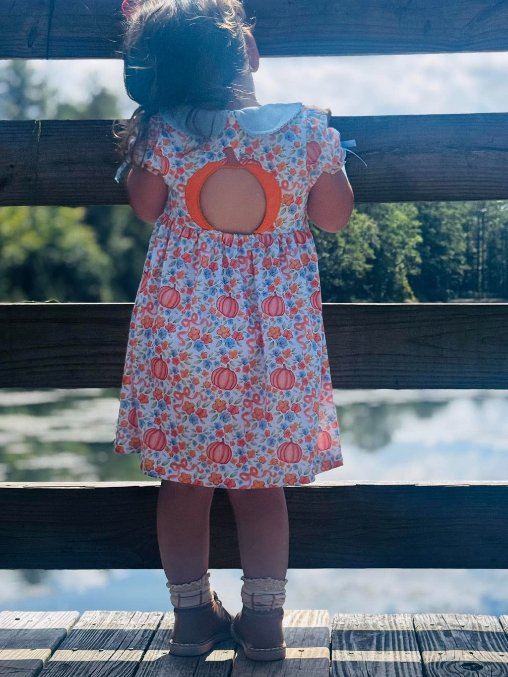 Heirloom Harvest Dress with Appliqué Back
